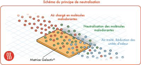 Matrice Gelactiv®